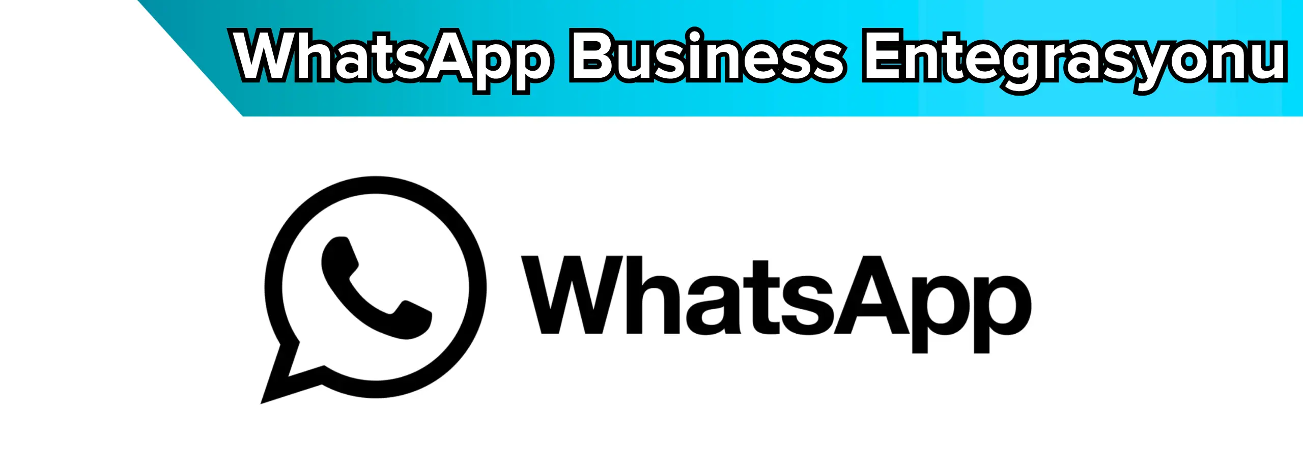 whatsapp business zoho crm entegrasyonu
