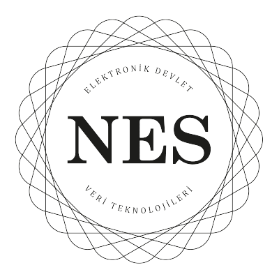 nes logo