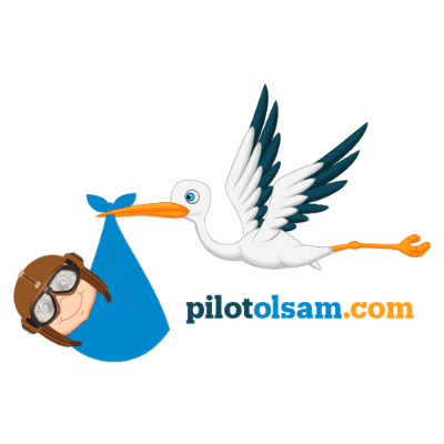 pilotolsam.com logo
