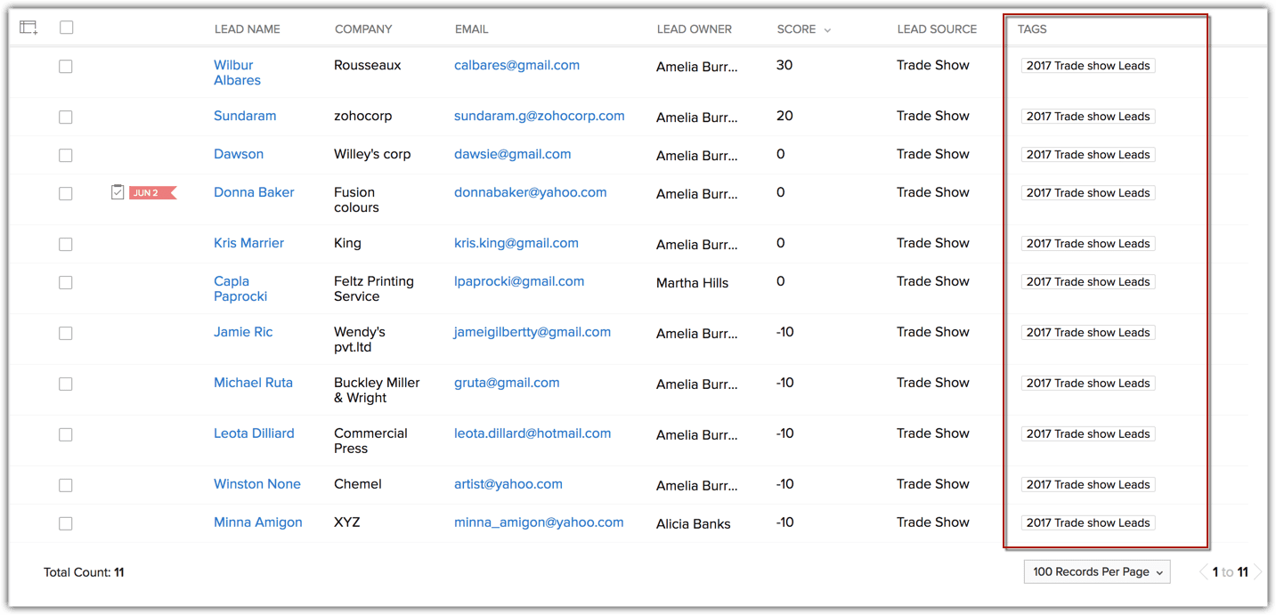 zoho crm tagler