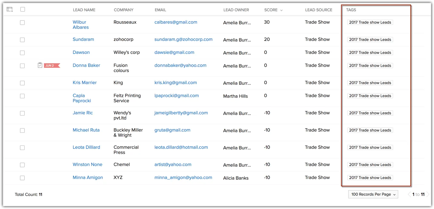 zoho crm tagler